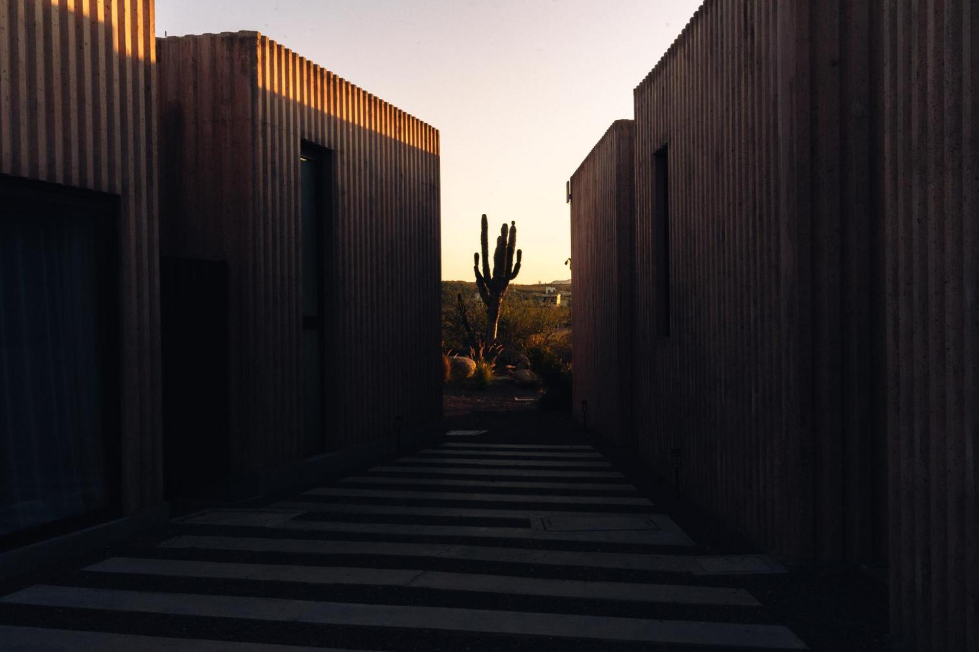 Casa Santos Hotell Todos Santos Eksteriør bilde