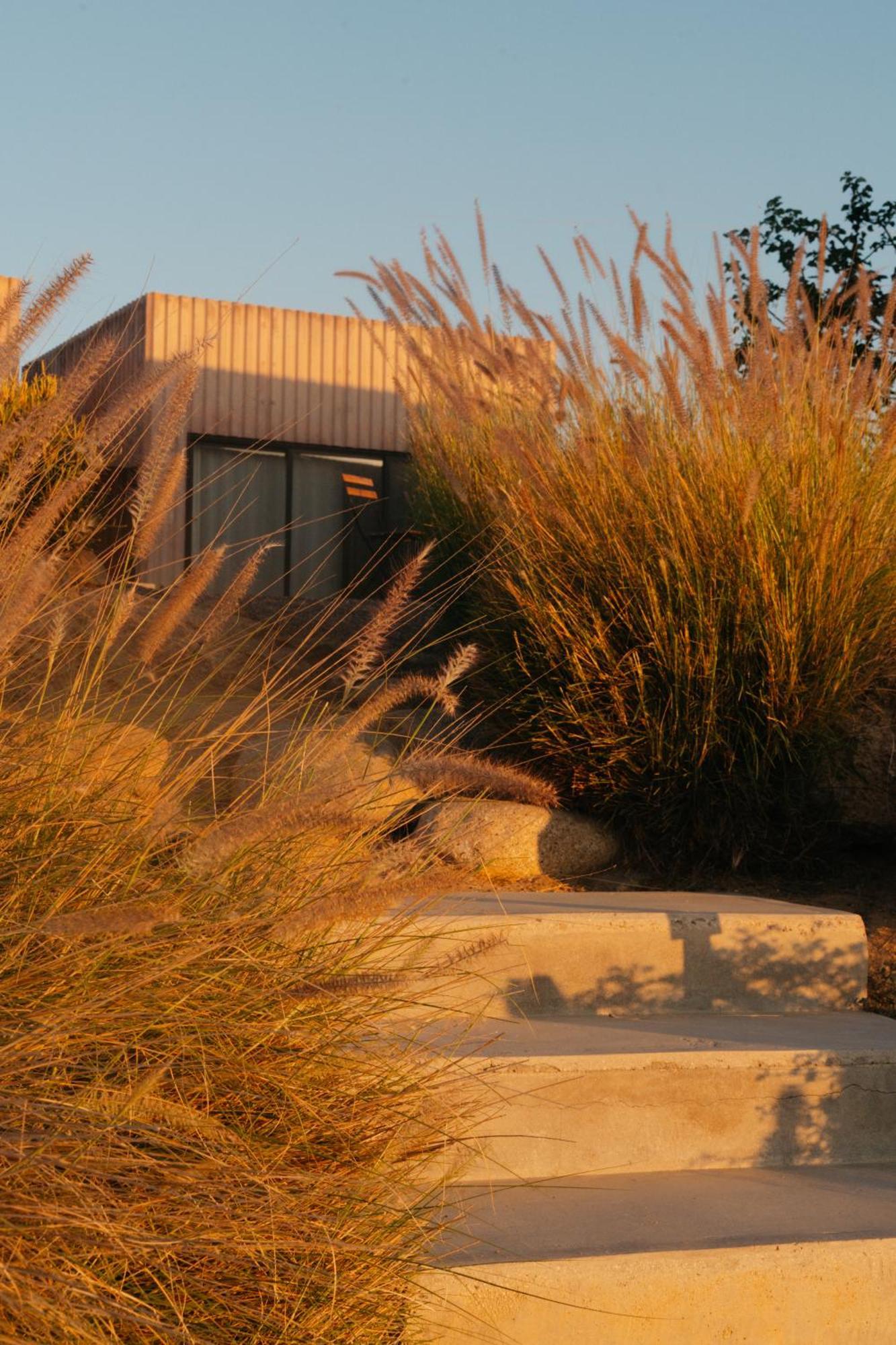 Casa Santos Hotell Todos Santos Eksteriør bilde