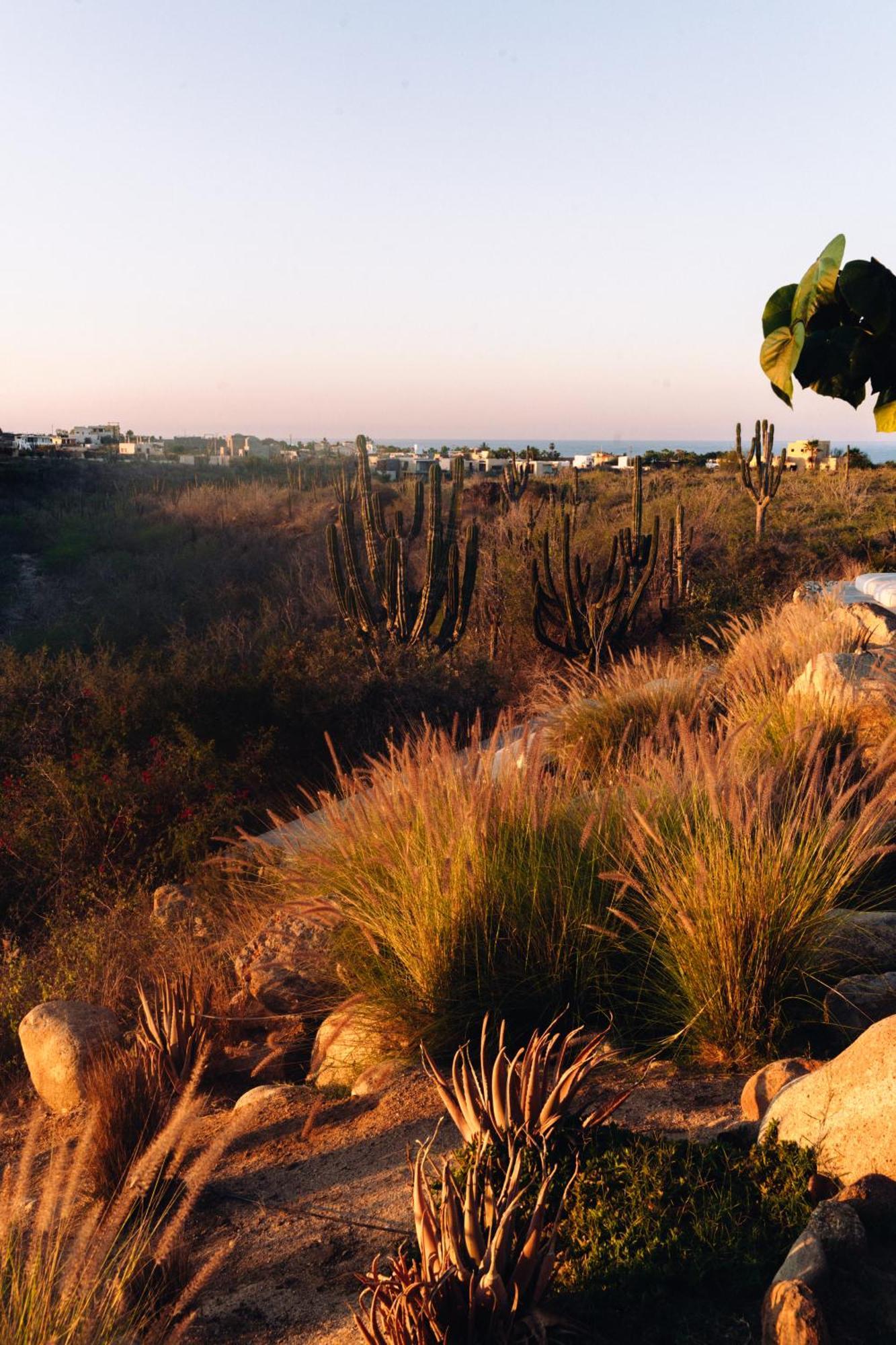 Casa Santos Hotell Todos Santos Eksteriør bilde